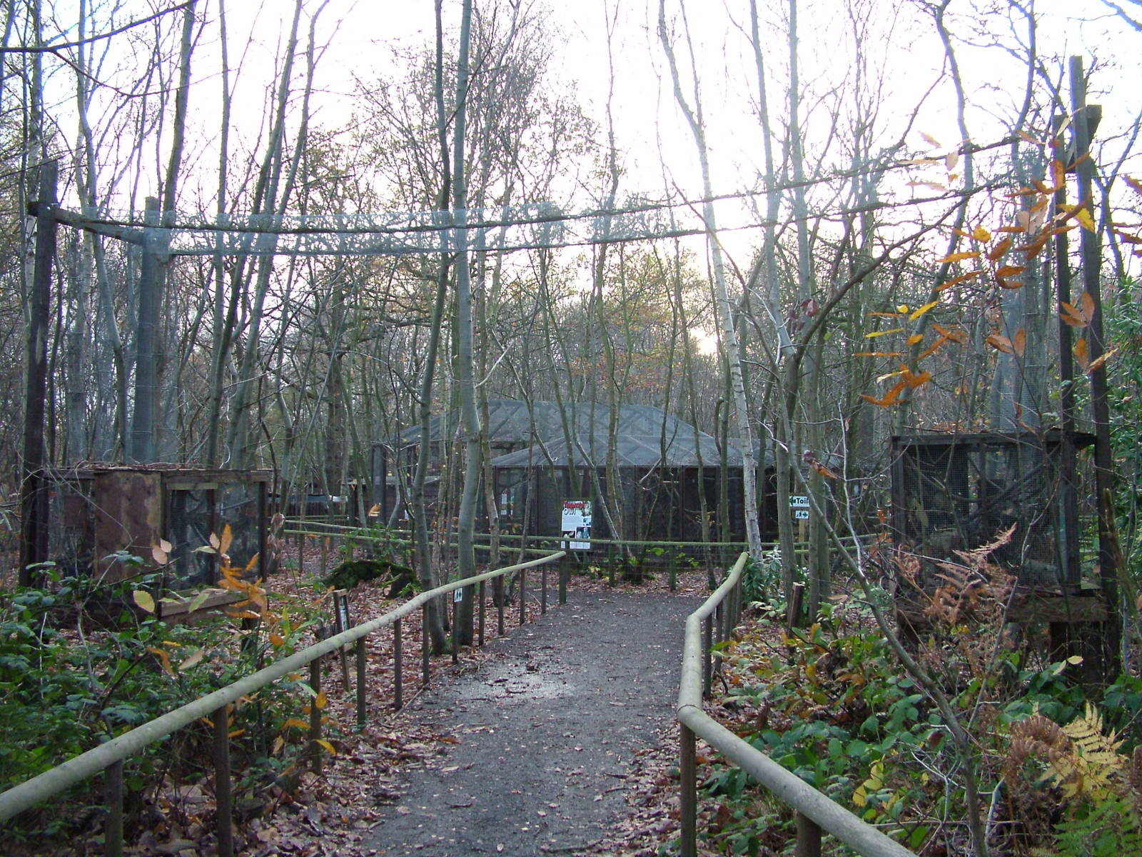 Dormouse exhibit at Wildwood 28/11/09