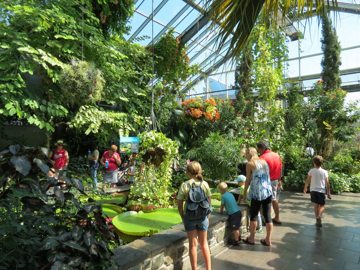 Dorothy Harvie Gardens - Conservatory - Garden Gallery with Butterflies Exhibit