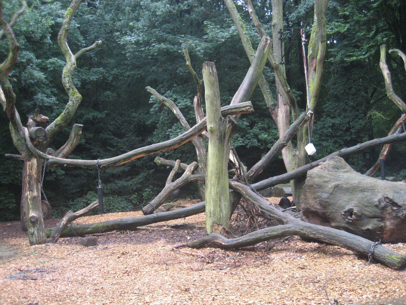 Dortmund Zoo - Bear exhibit
