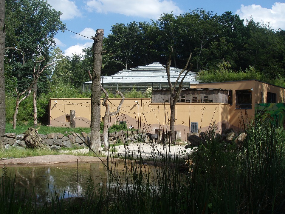 Dortmund Zoo - Rumah Hutan