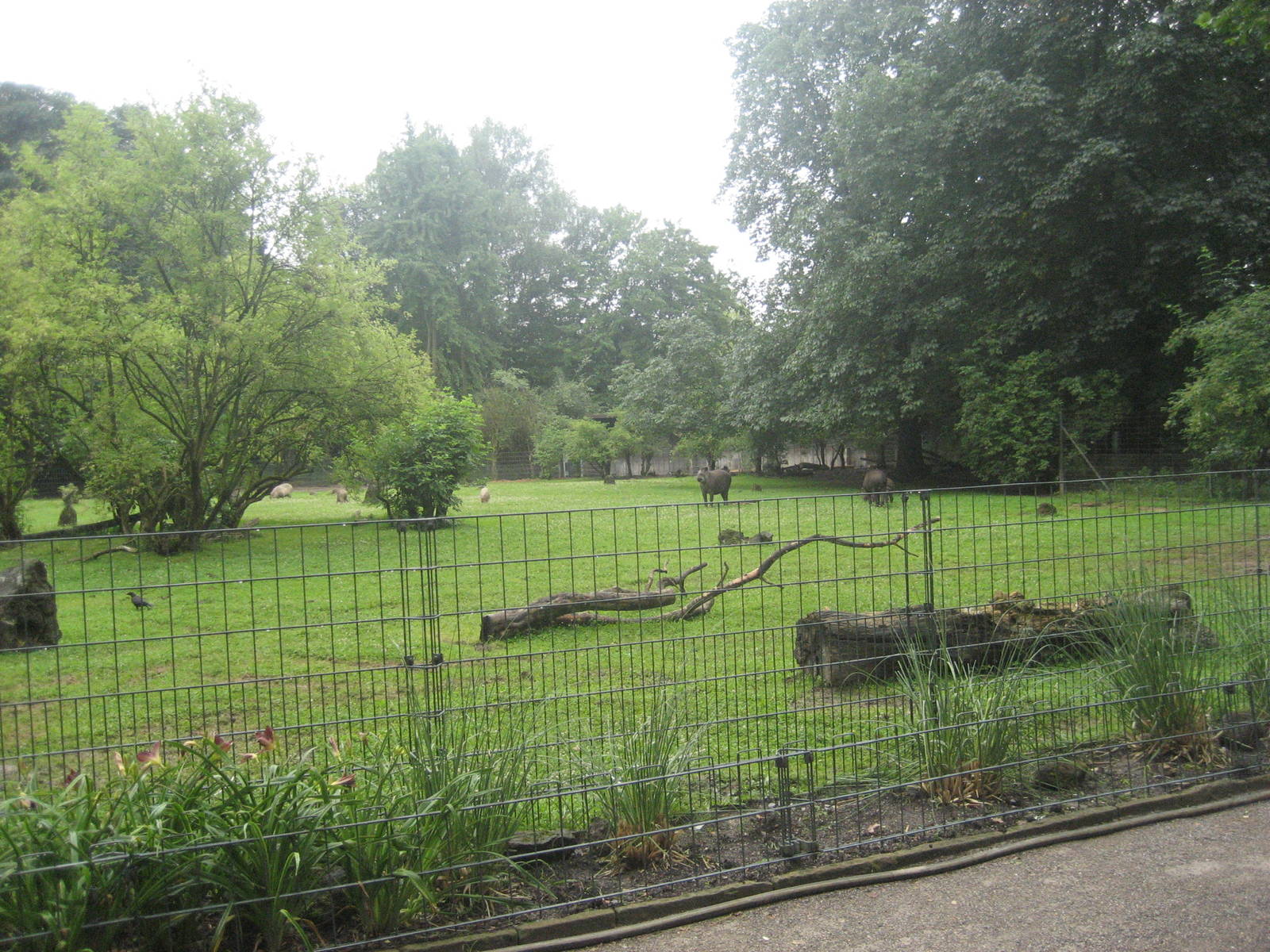 Dortmund Zoo - South america