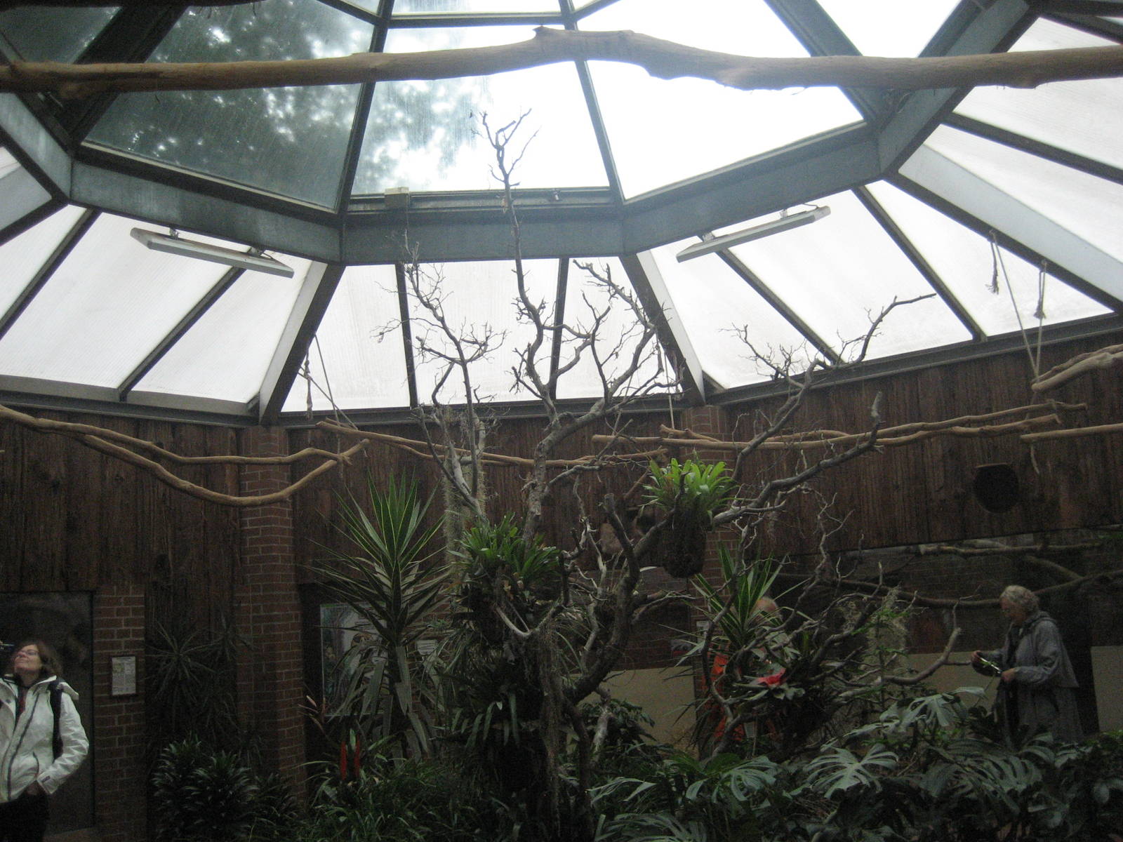 Dortmund Zoo - Tamanduahaus