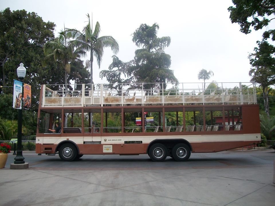 Double Decker Bus inside the zoo