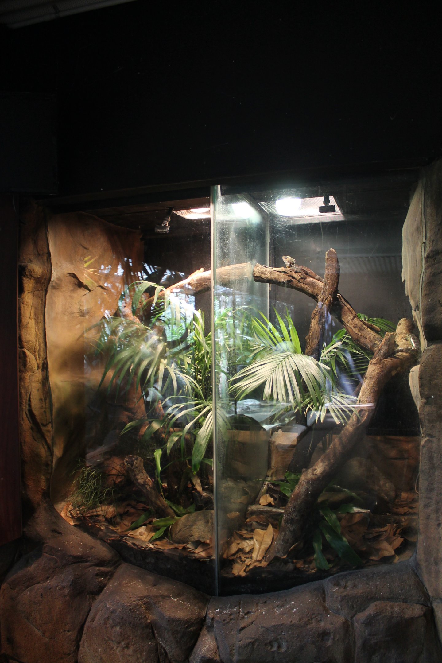 double reptile enclosure