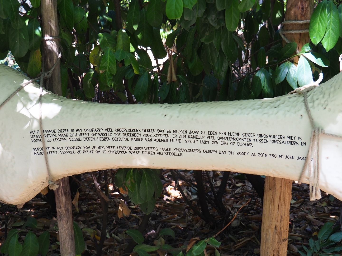 Double-wattled cassowary as a "living dinosaur" sign