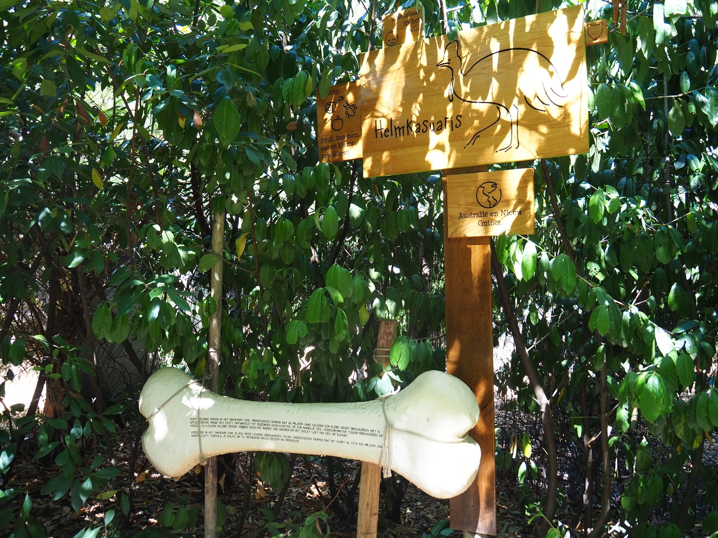 Double-wattled cassowary signs