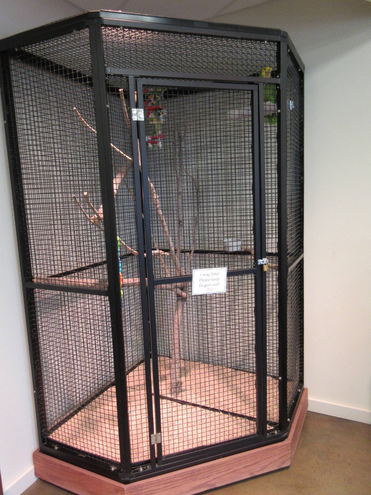 Double Yellow-Headed Amazon Parrot Cage