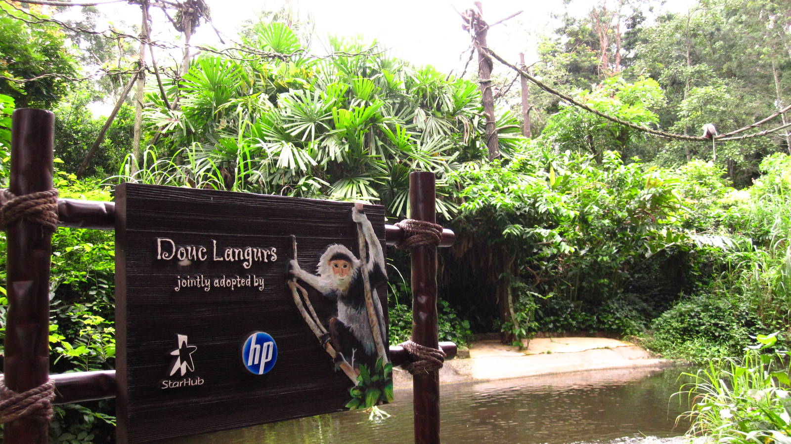 Douc Langur adoption plaque