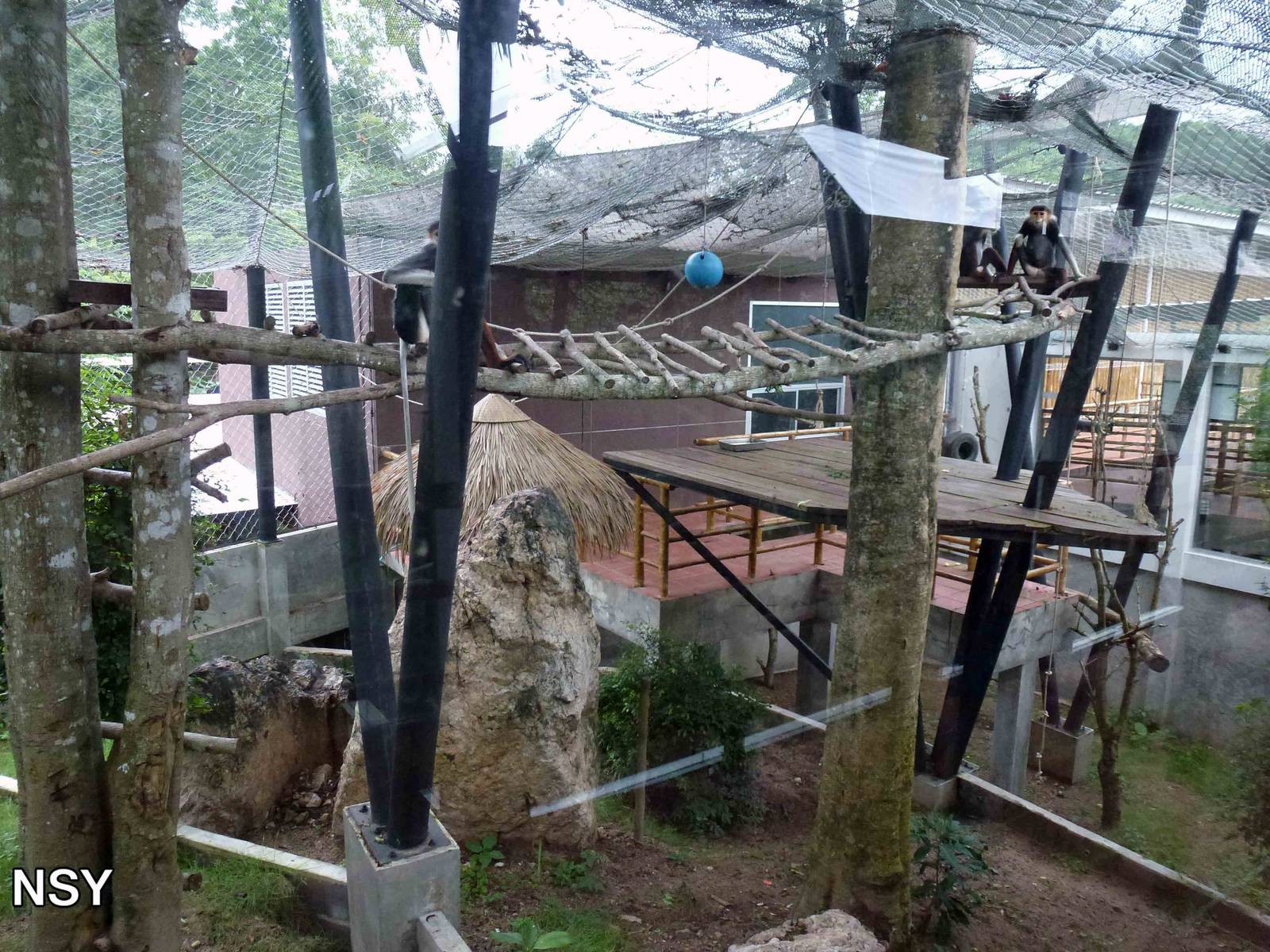 Douc langur enclosure, June 2013.