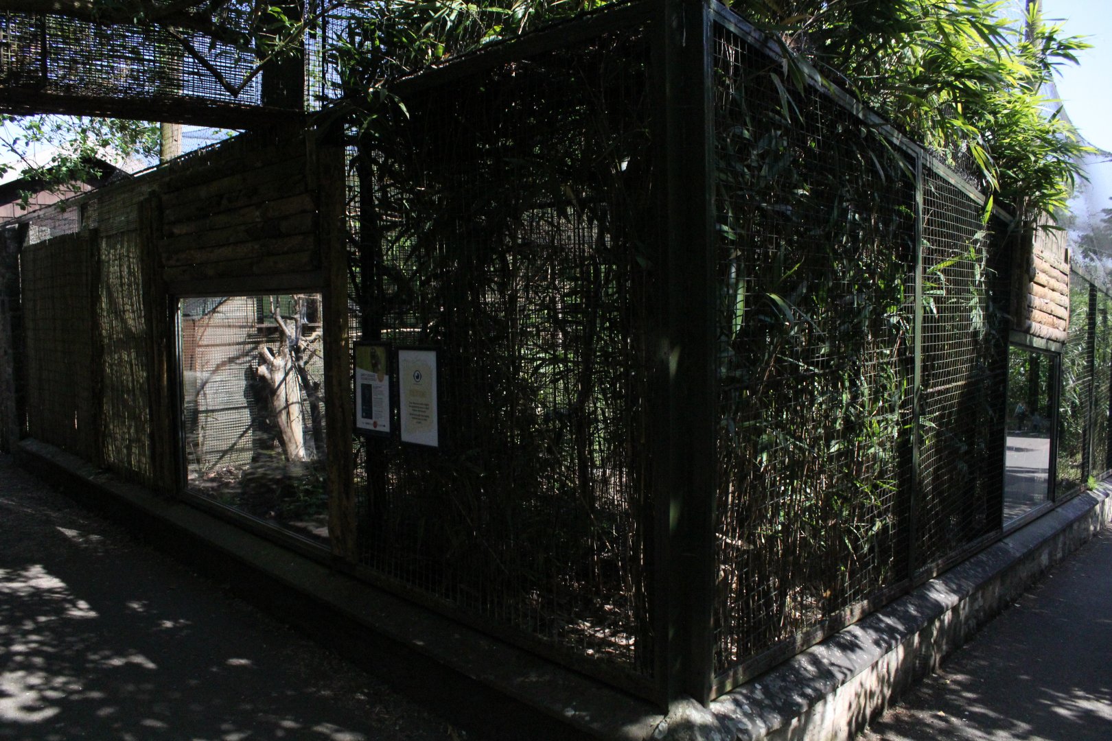 Douricouli Enclosure Edinburgh Zoo