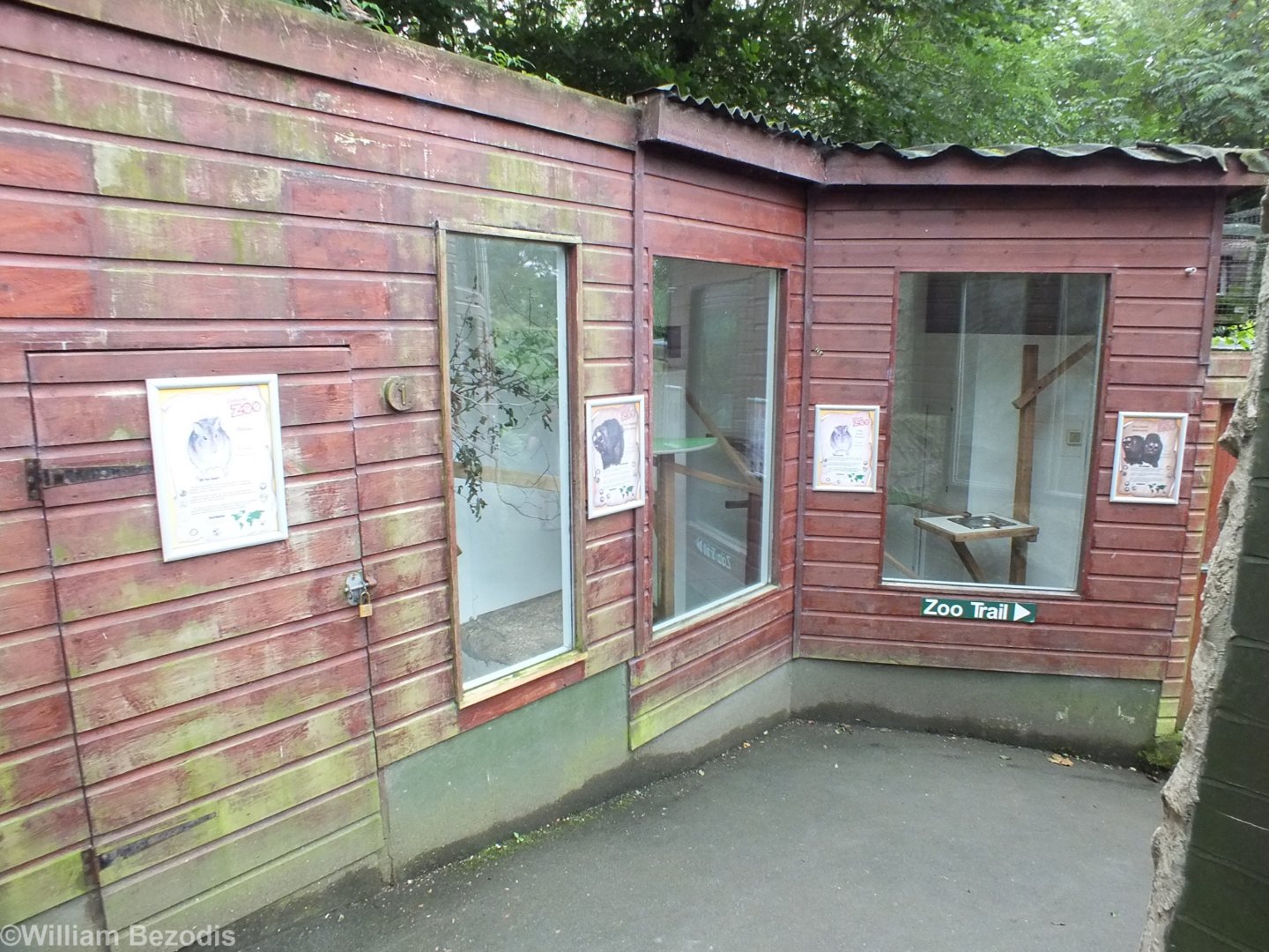 Douroucouli Enclosure