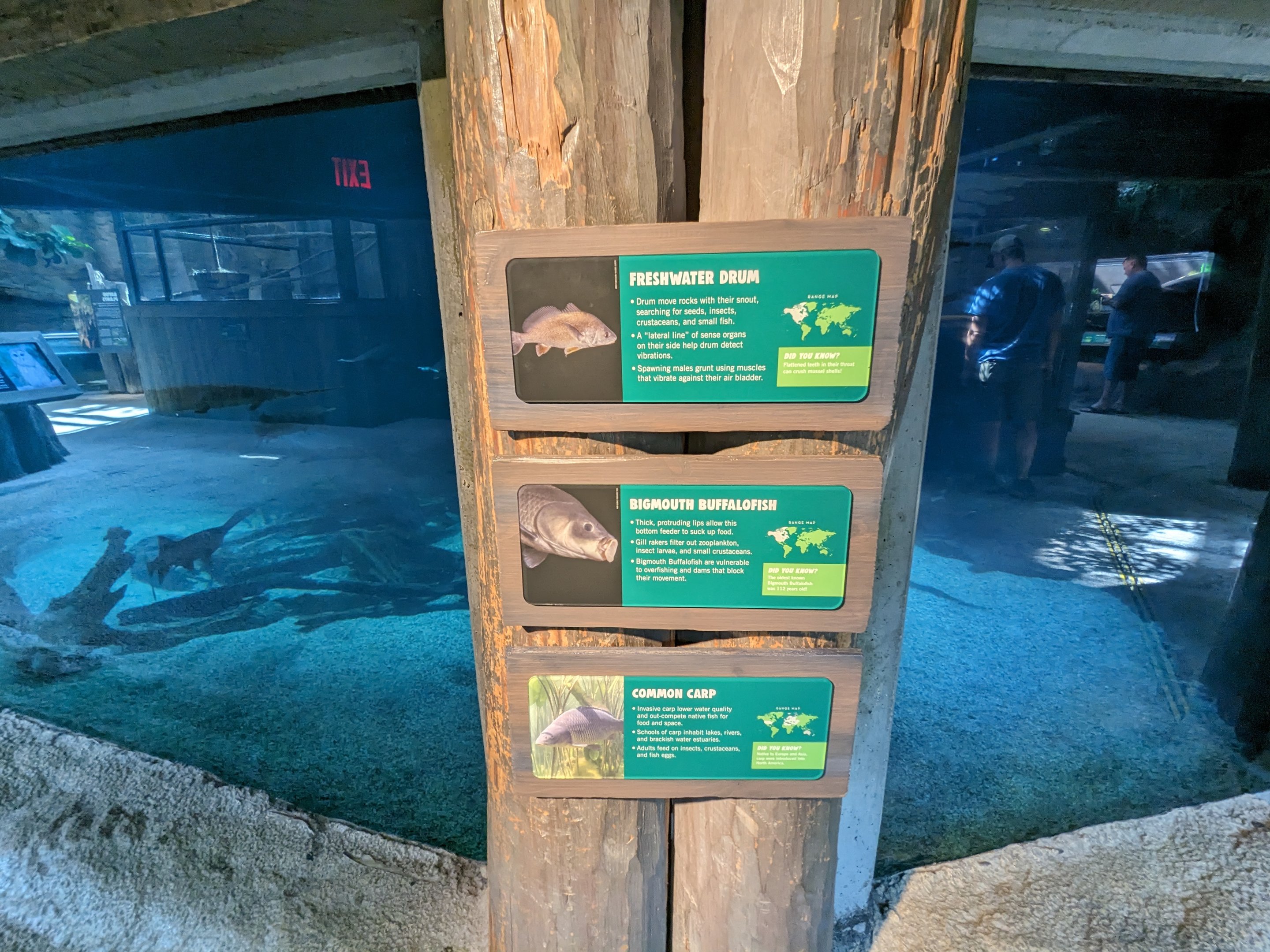 Down on the Bayou - large tank signage