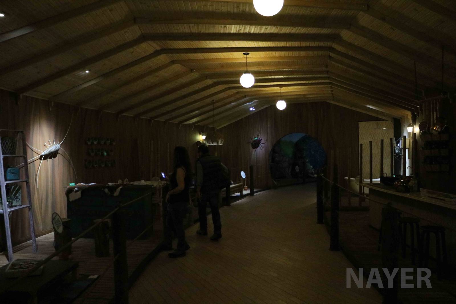 Dr Ariel's world, March 2016