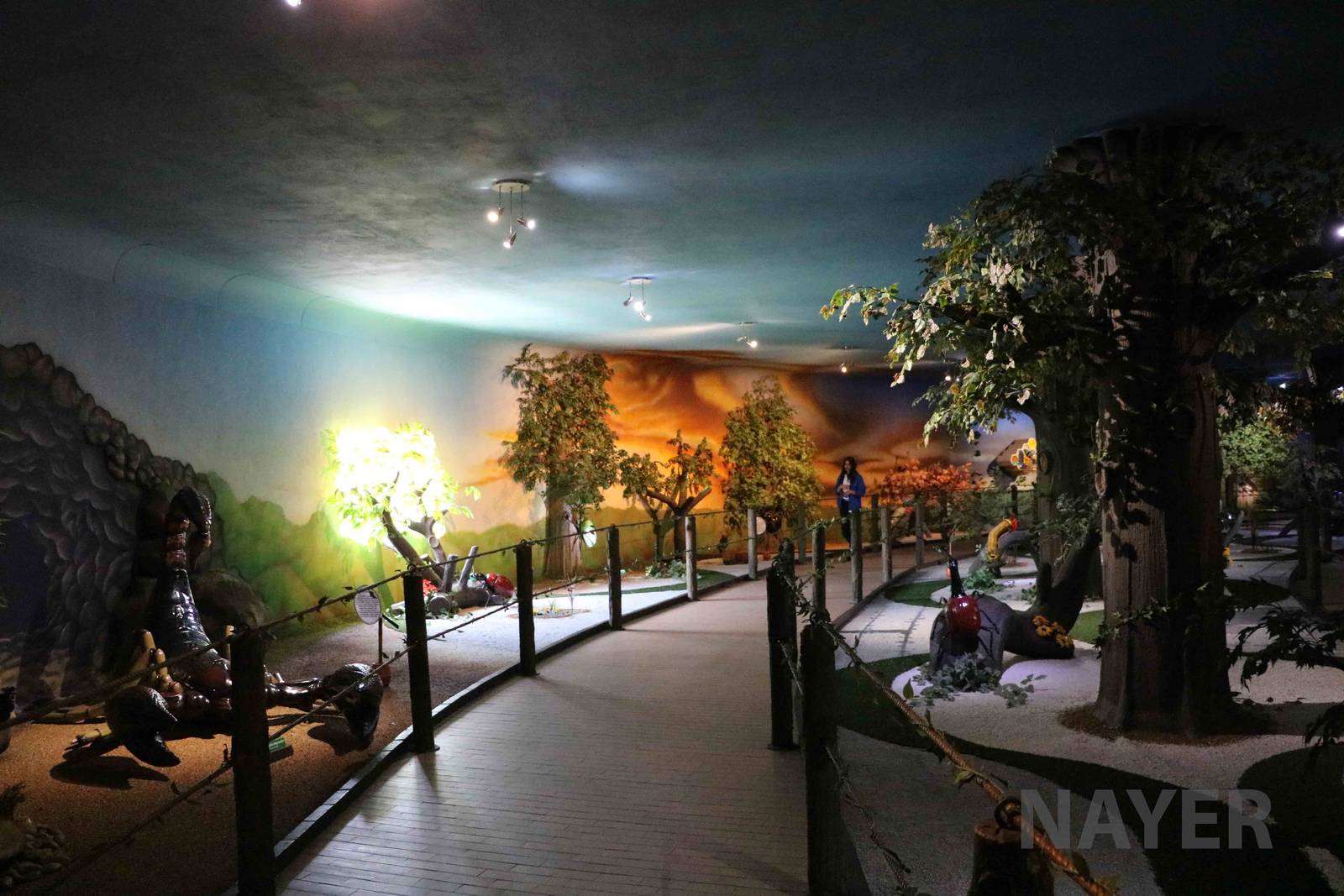 Dr Ariel's world, March 2016