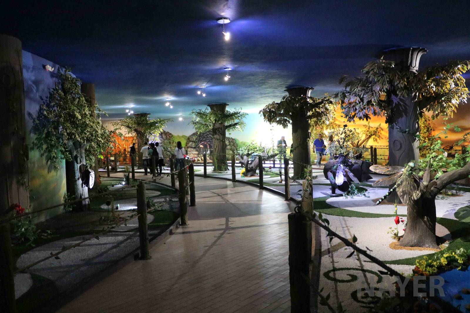 Dr Ariel's world, March 2016