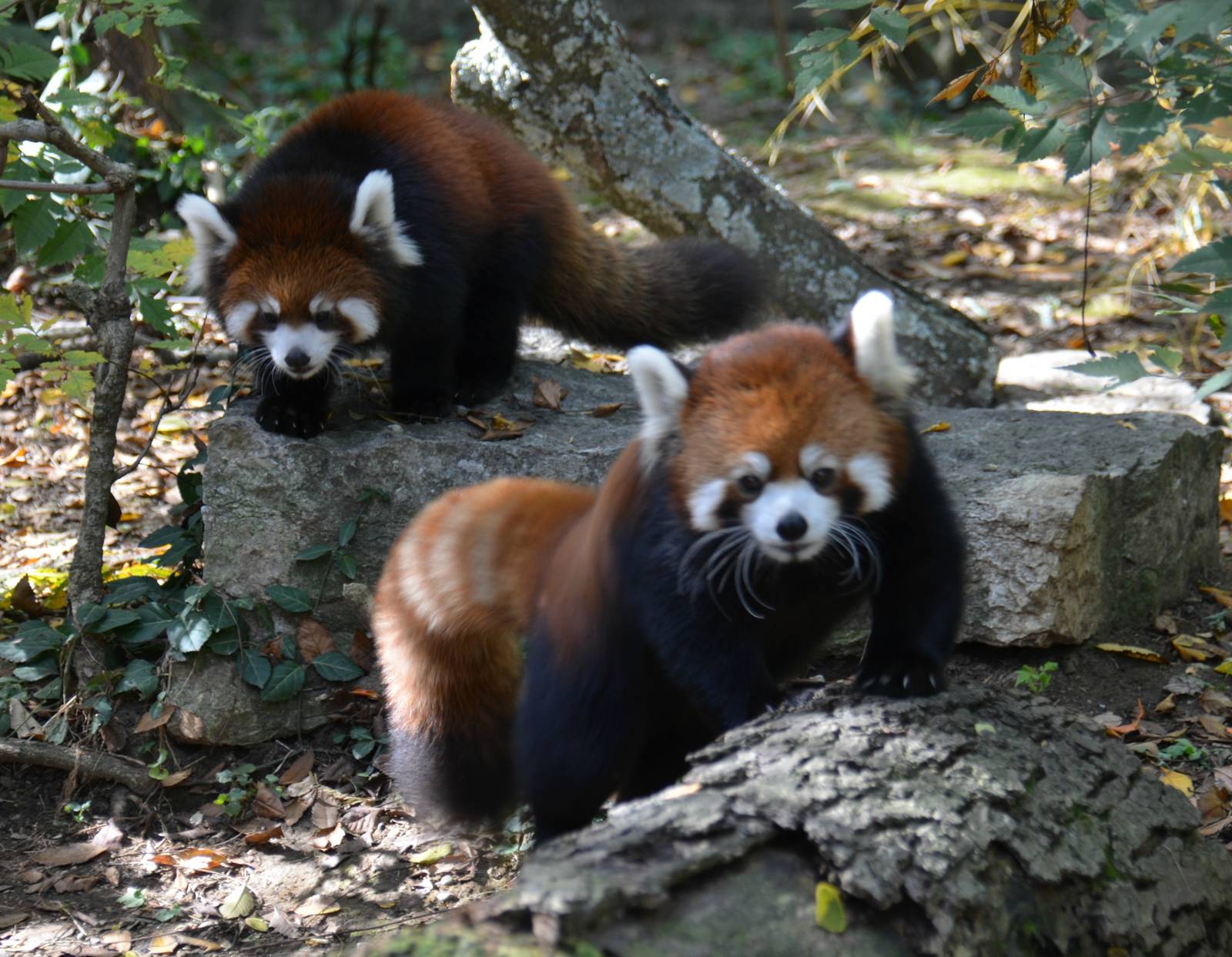 Dr. Erin Curry and Her Mother Lin - 10/26/15