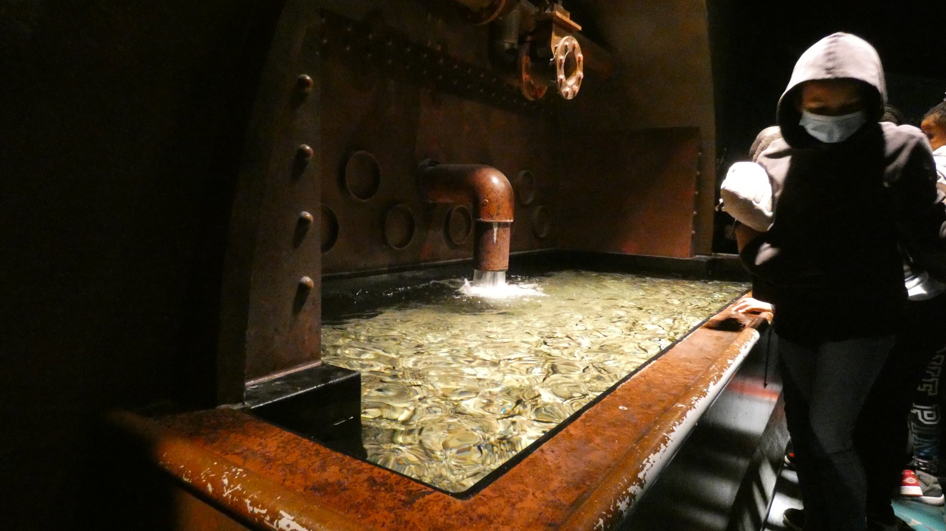 Dr. Fish Touch Tank, Global Rivers - Mar. 2022