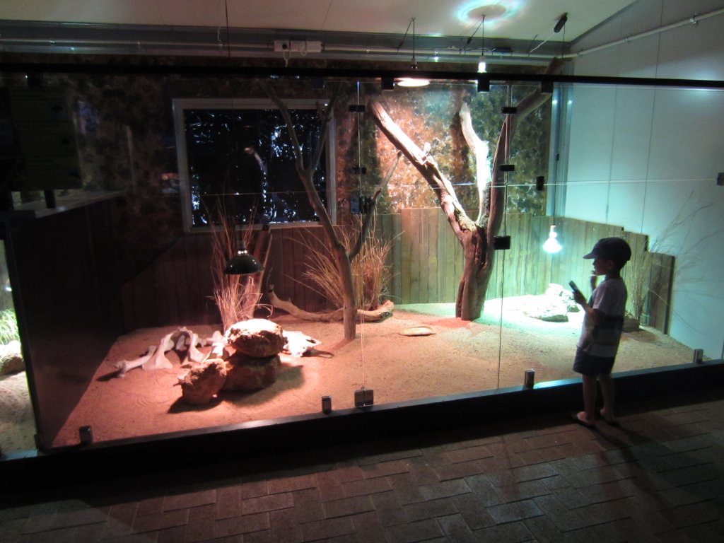 Dragon and Skink exhibits