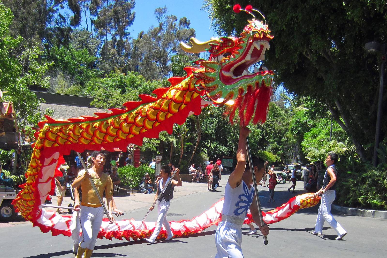 Dragon Dancers