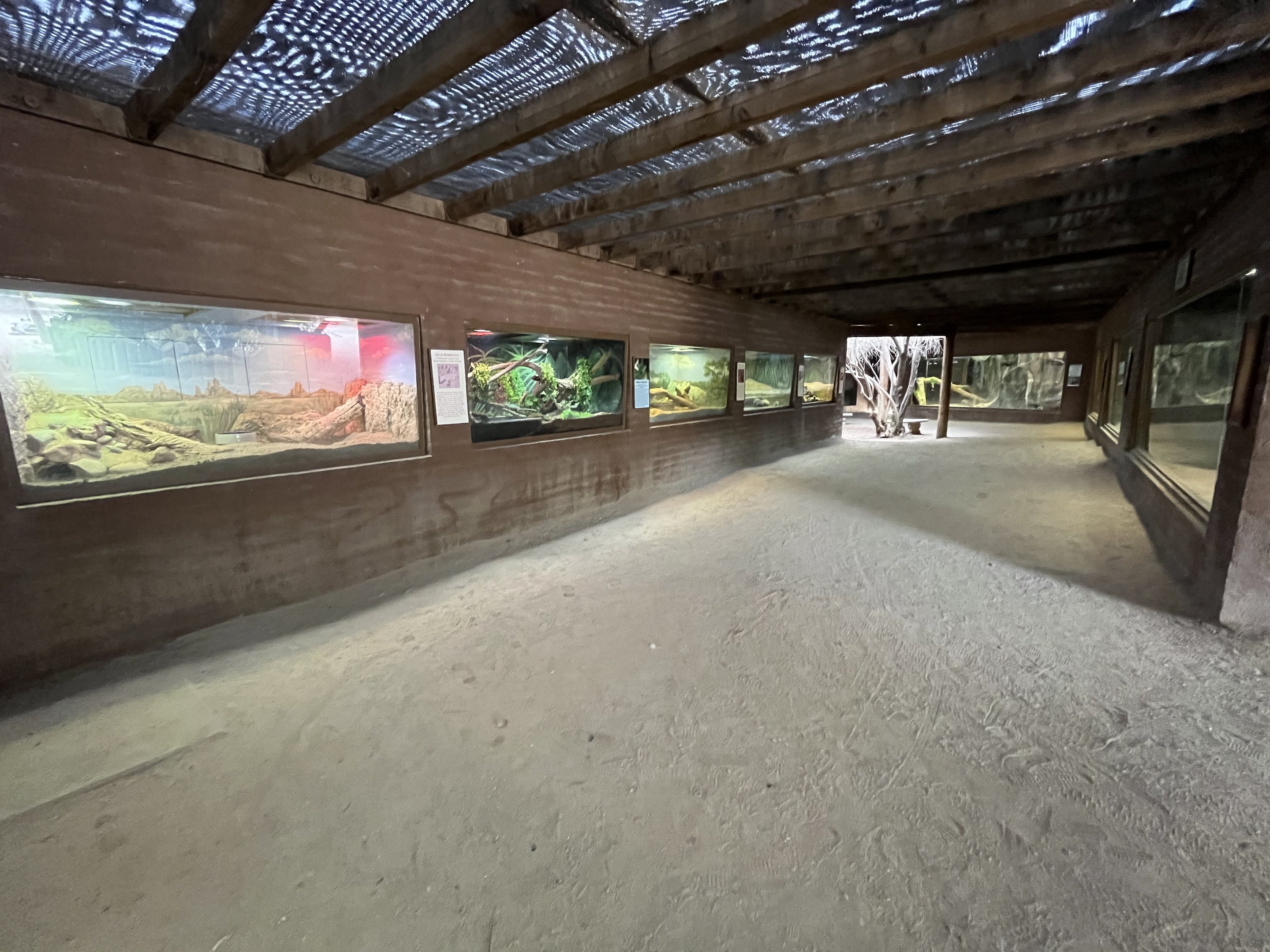 Dragon World - 19 exhibits