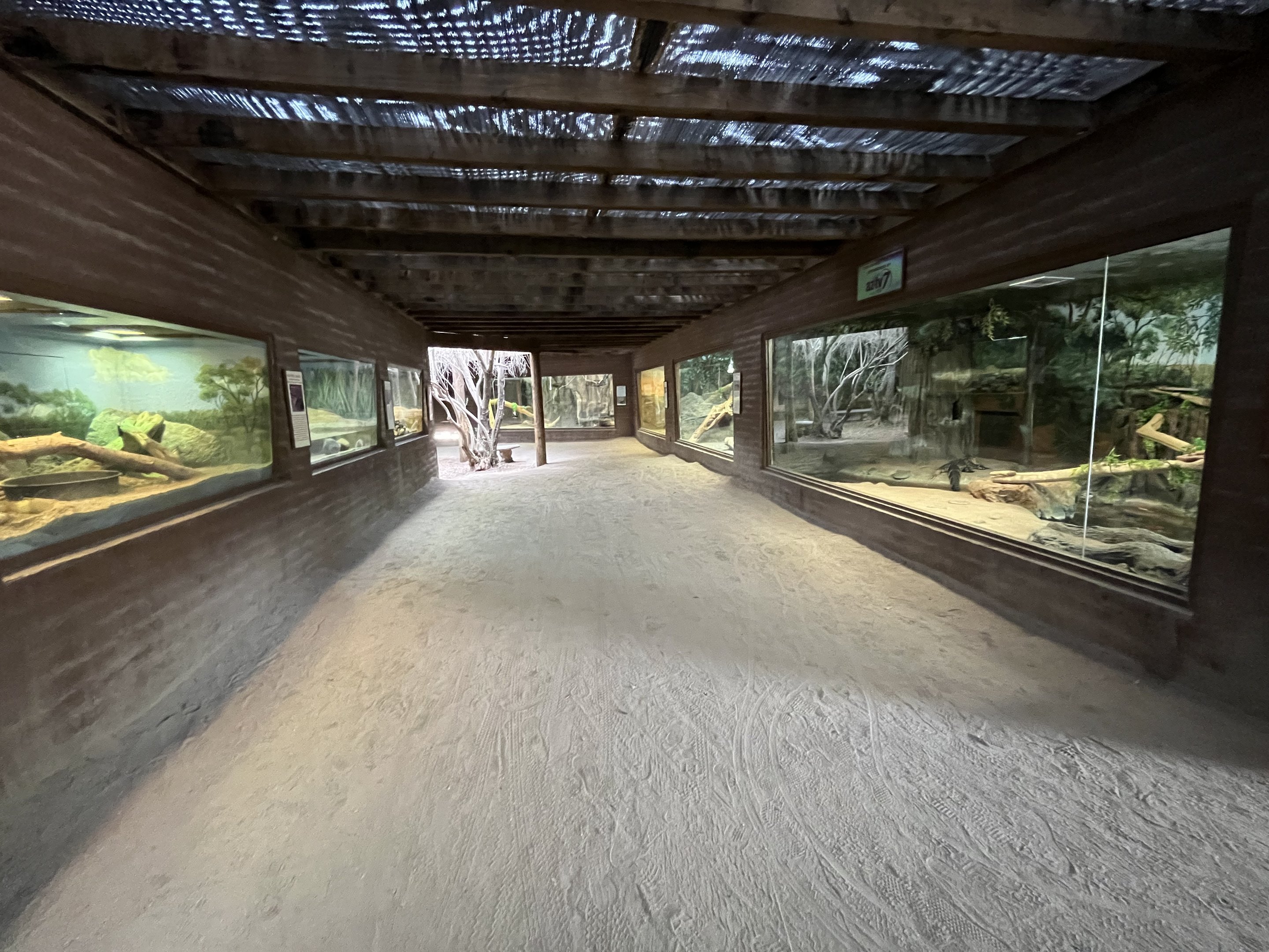 Dragon World - 19 exhibits