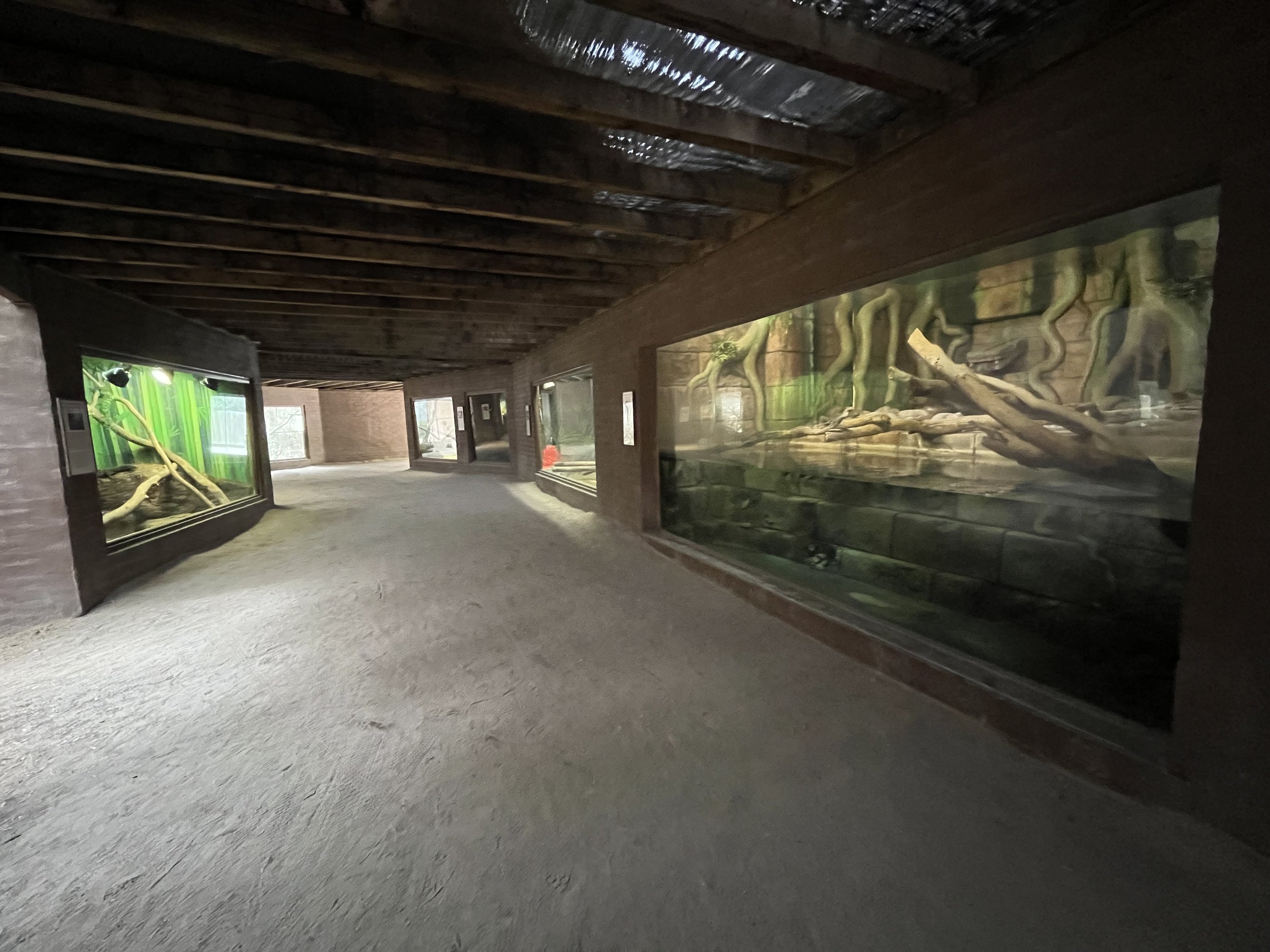 Dragon World - 19 exhibits