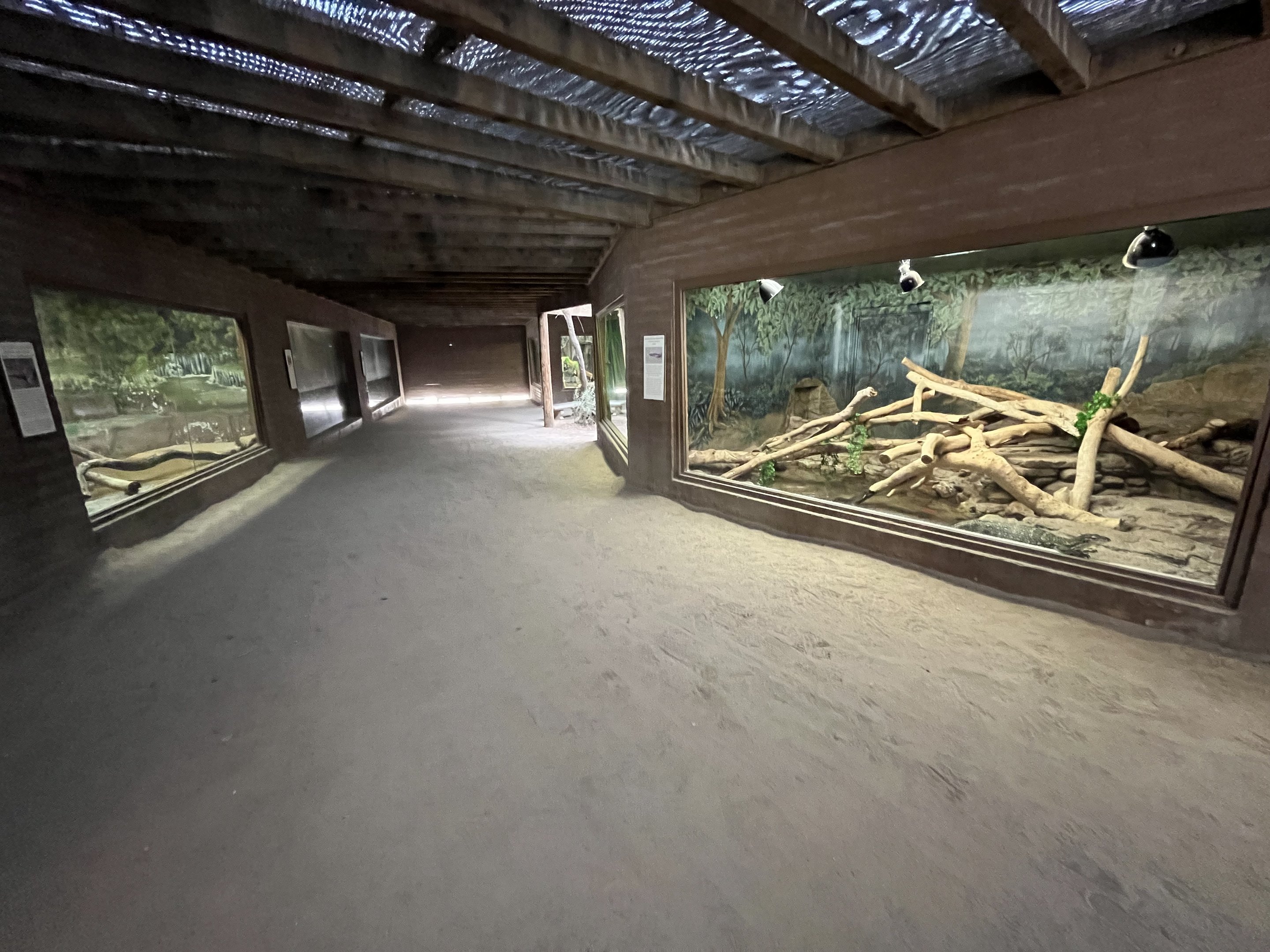 Dragon World - 19 exhibits