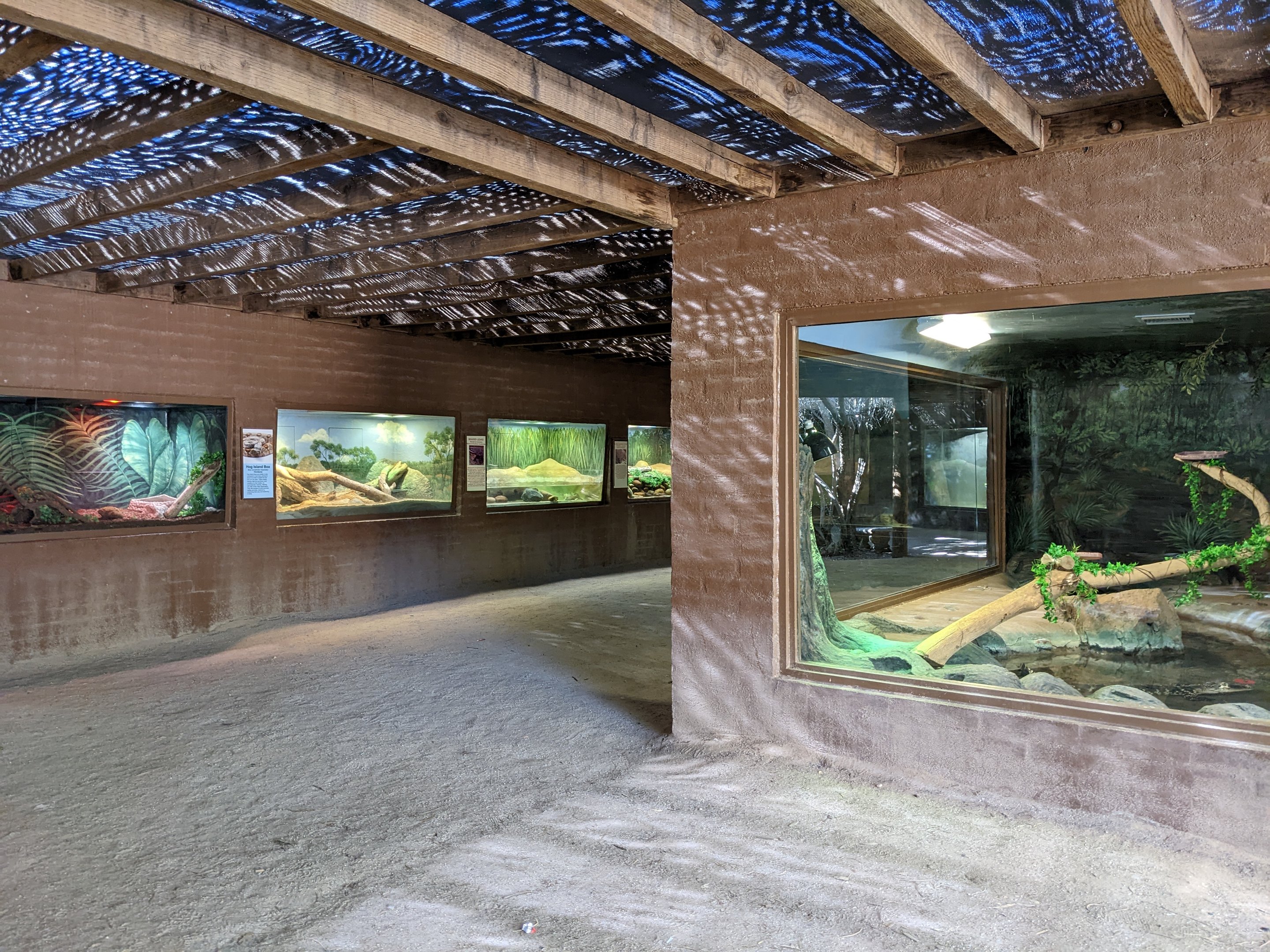 Dragon World - habitat gallery