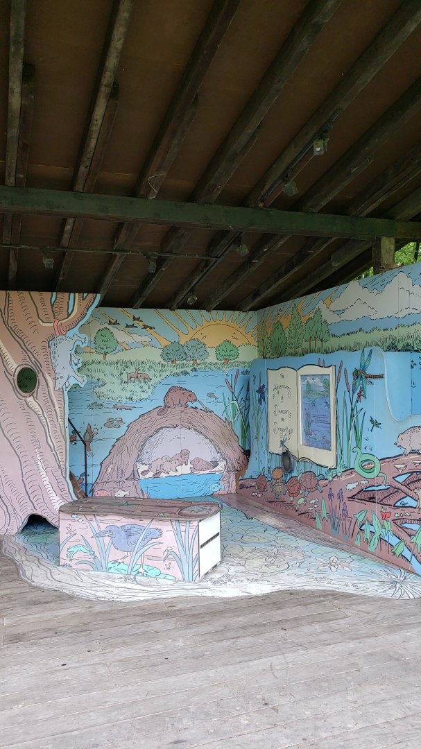 Dragonfly Marsh 5/9/2024