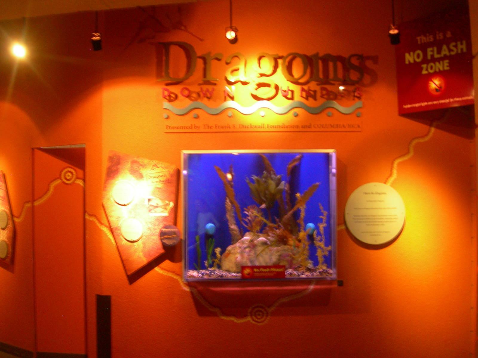 Dragons Down Under Entrace