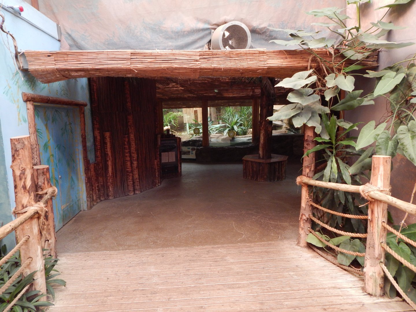 Dragons in Danger 081020