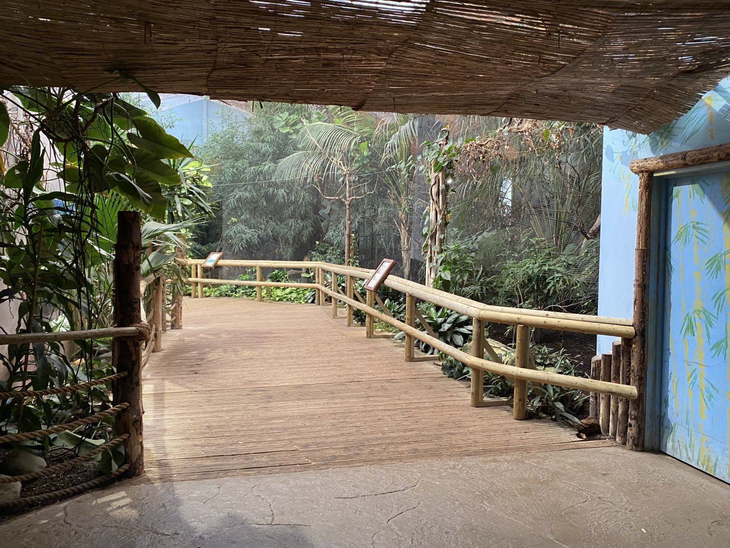 Dragons in Danger - Aviaries 191021