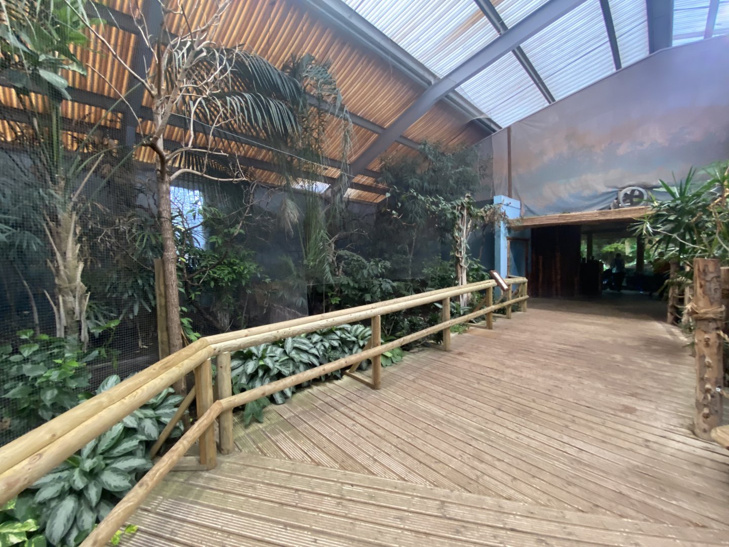 Dragons in Danger - Aviary 191021