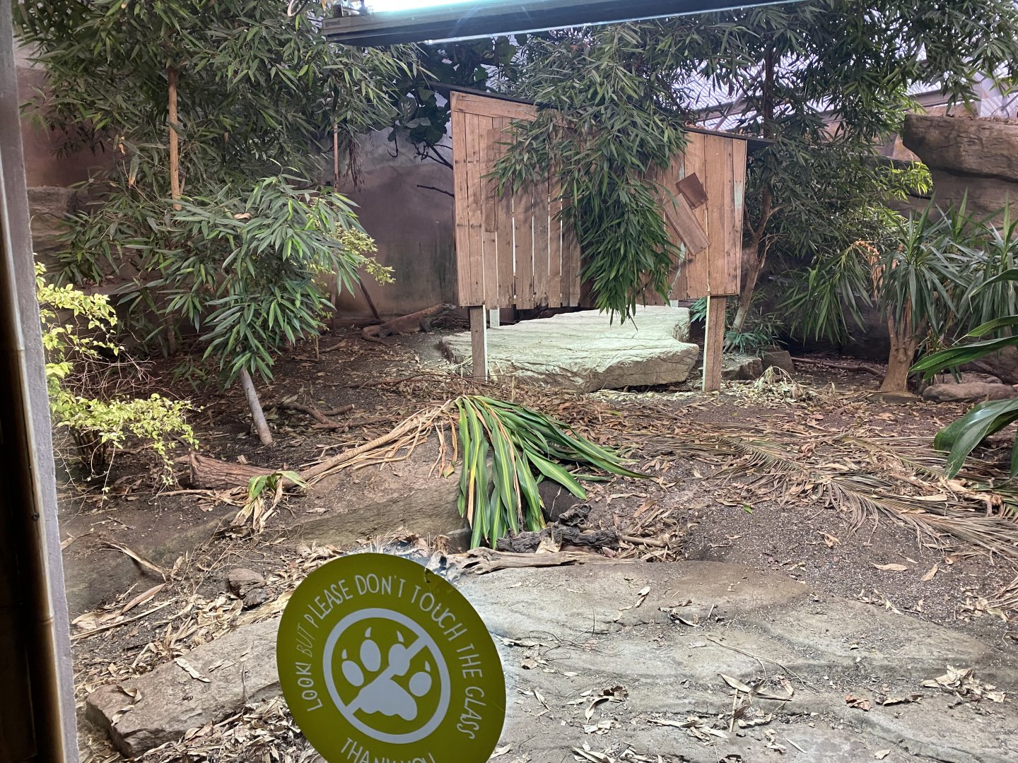 Dragons in Danger - Komodo dragon exhibit 191021