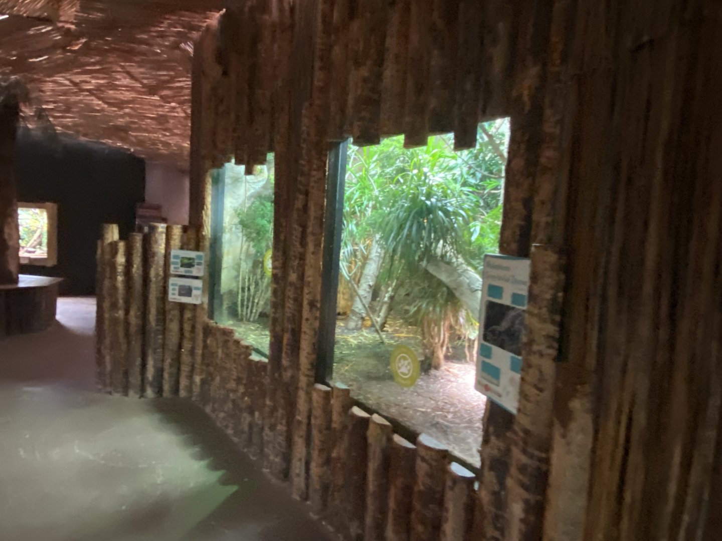 Dragons in Danger - Mixed exhibit 191021