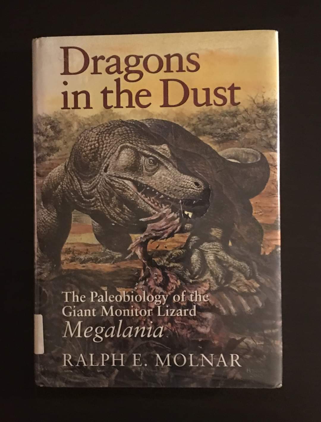 Dragons in the Dust