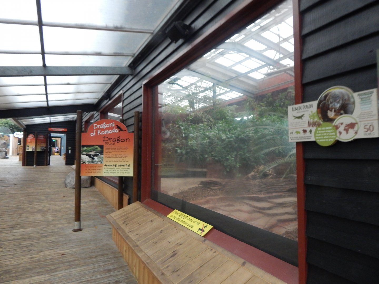 Dragons of Komodo 110925