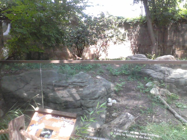 Dragons!- Part of the Komodo Dragon Outdoor exhibit