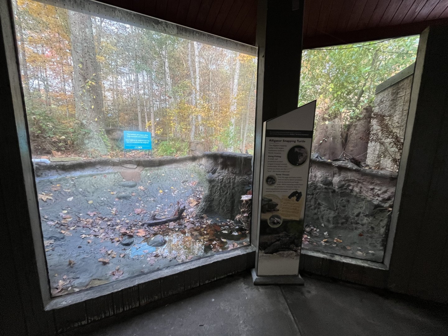 Drained Alligator Snapping Turtle Habitat