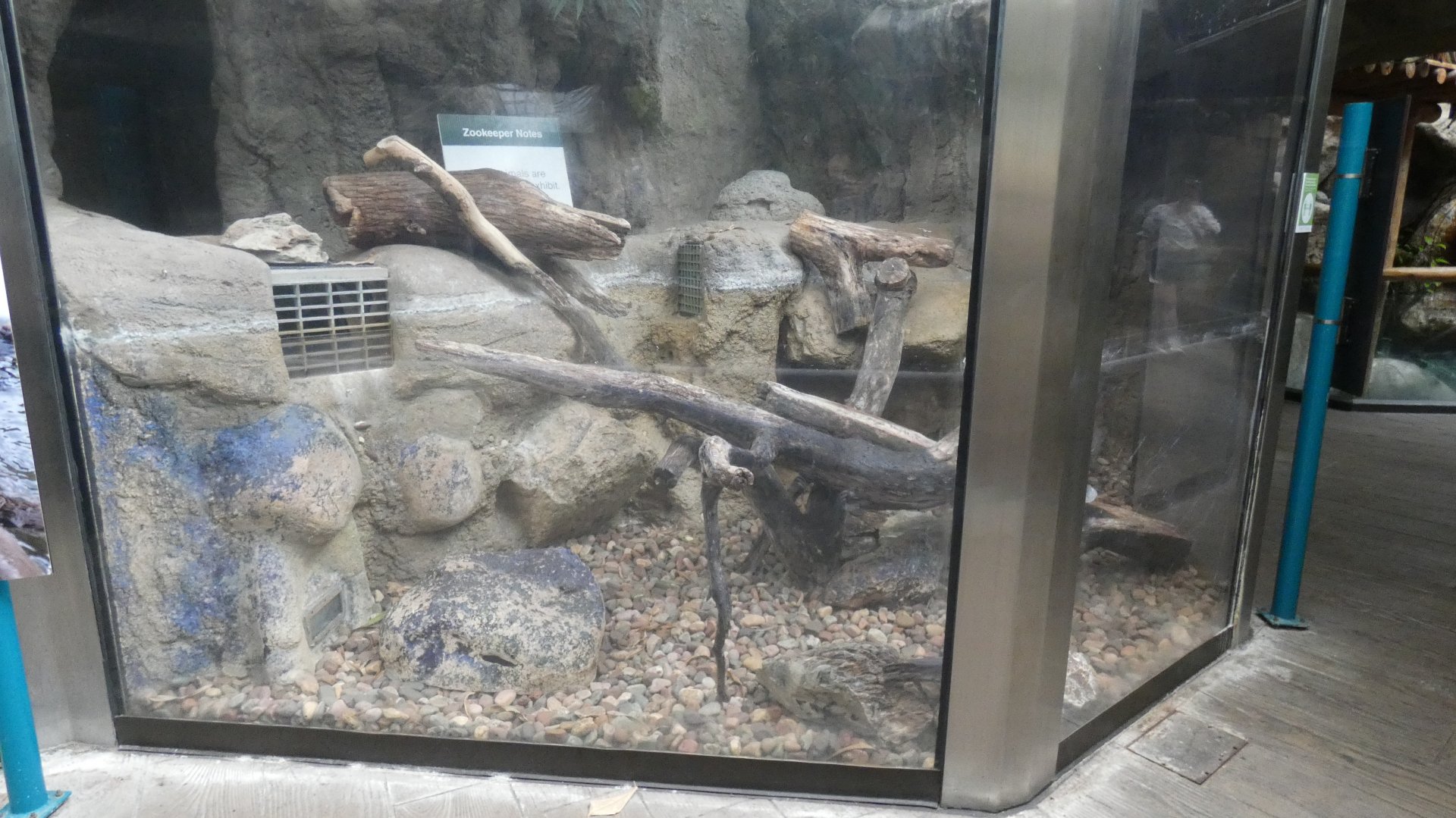 Drained Asian Small Clawed Otter Exhibit (Section 1), Small Mammal & Reptile House - July 2022