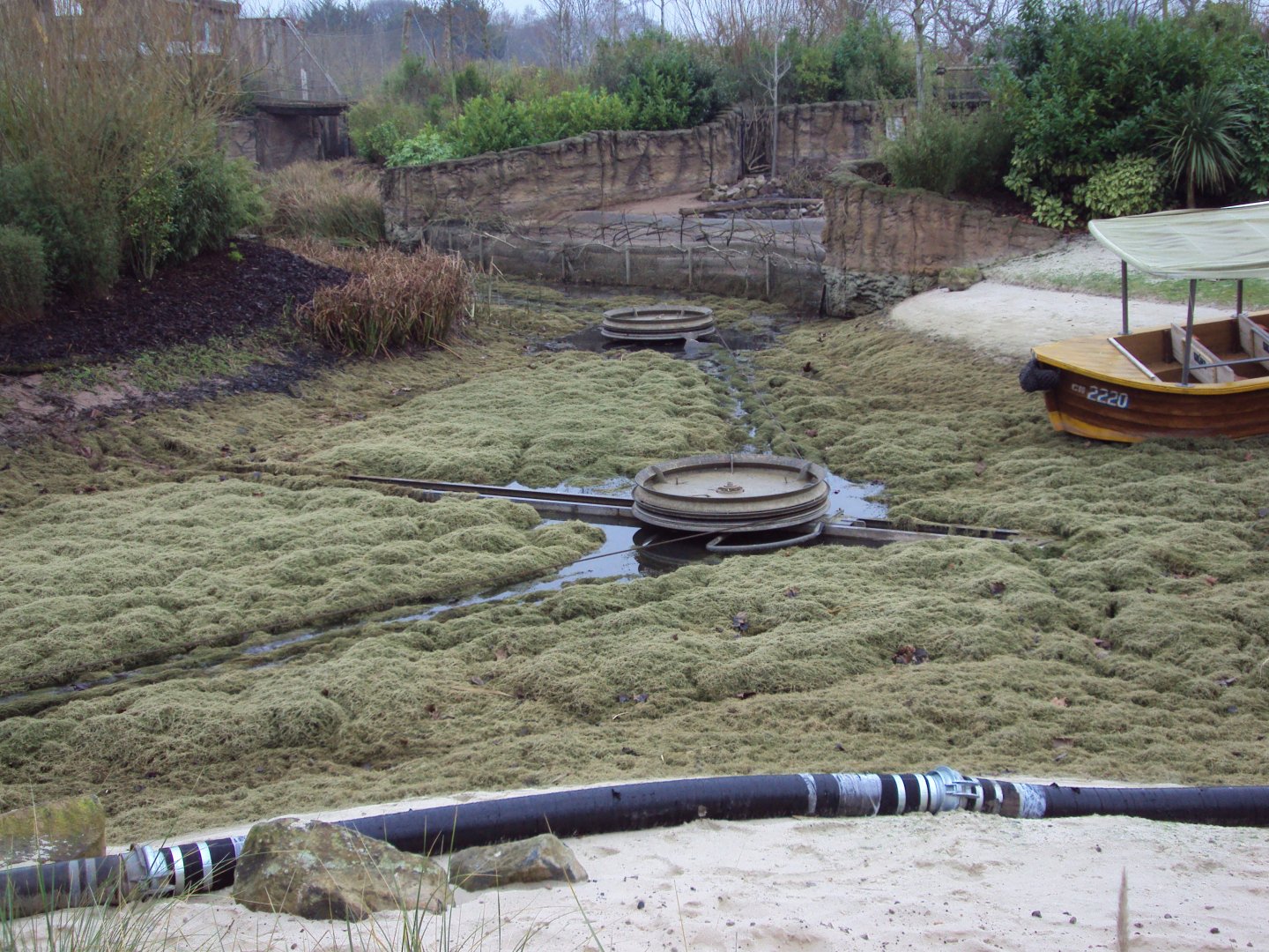 Drained Boat ride in Islands 17/01/2019