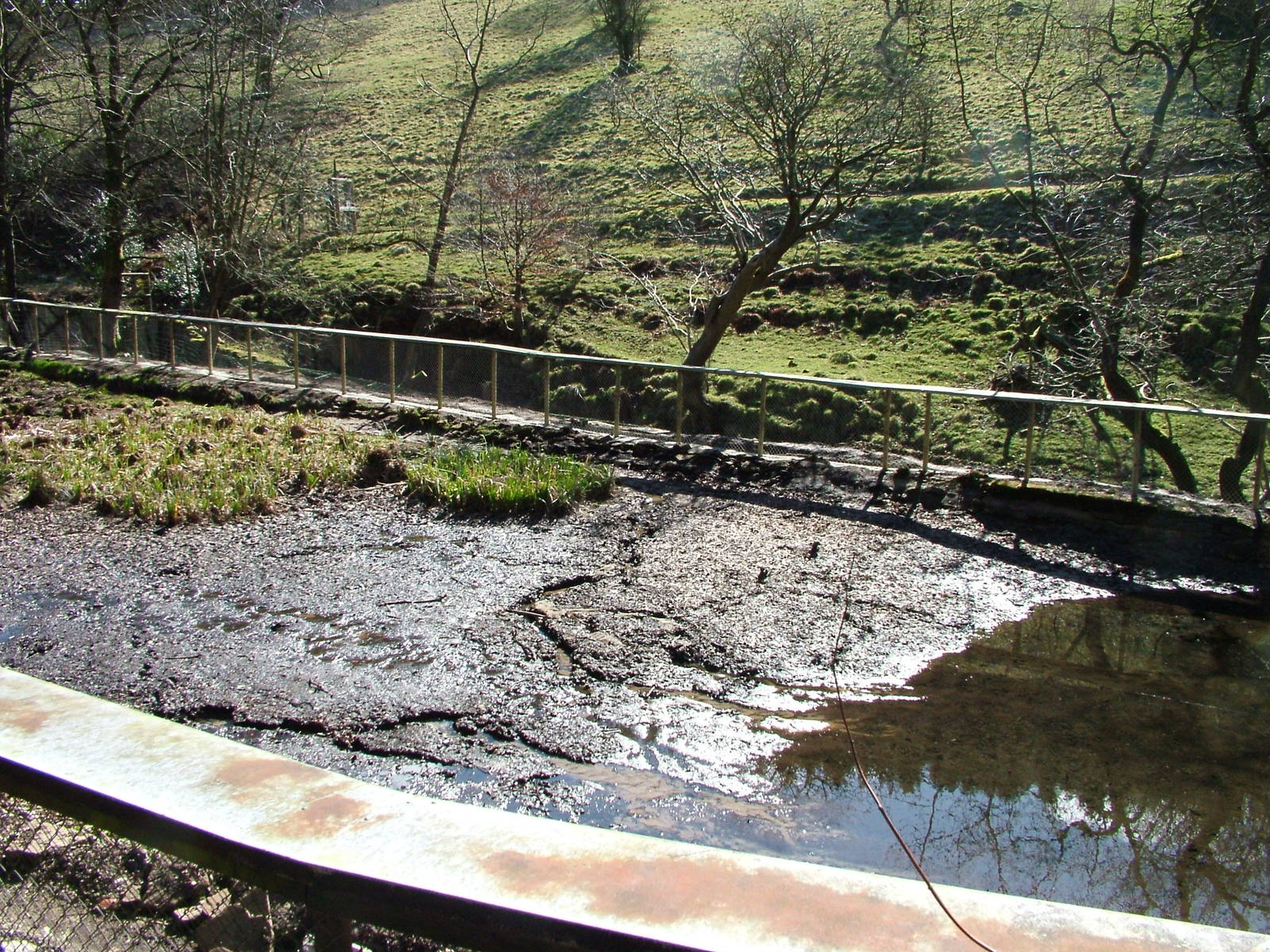 Drained Giant Otter pool at the Chestnut Centre, March 09