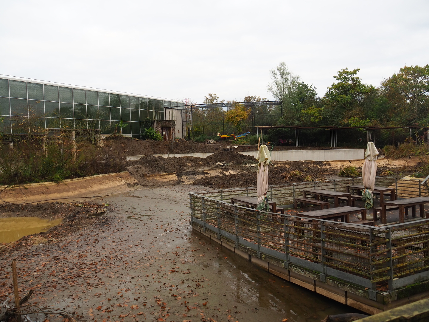 Drained pond between the restaurant and the orangutan project construction site, 2021-11-06