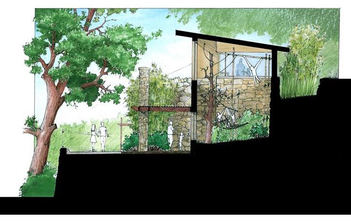 Drawing for New Gibbon exhibit set to open on Earth Day