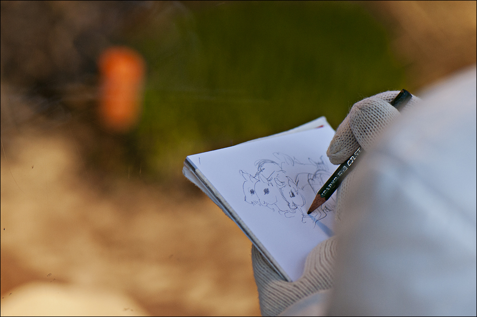 Drawing of dwarf mara at Berlin Tierpark