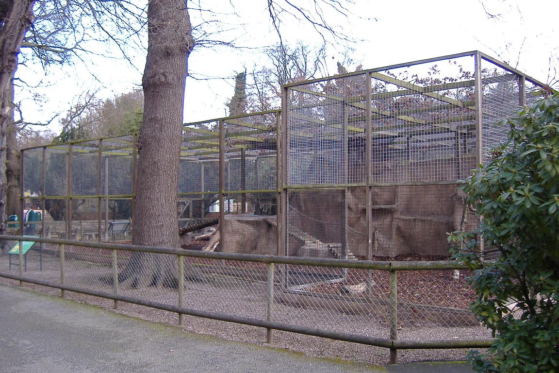 Drayton Manor Lynx cage