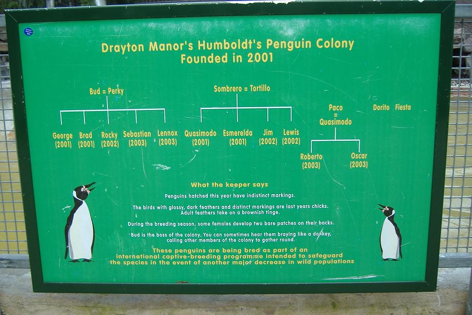 Drayton Manor Penguins family