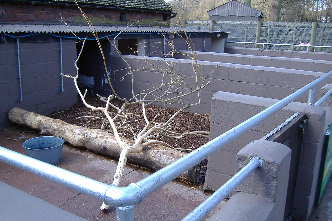 Drayton Manor Porcupine sties