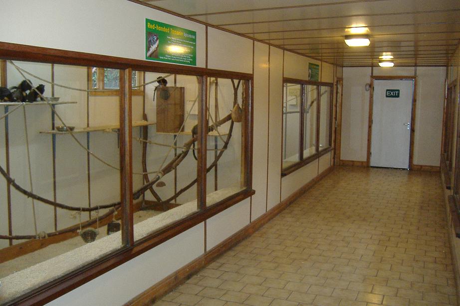 Drayton Manor small primates