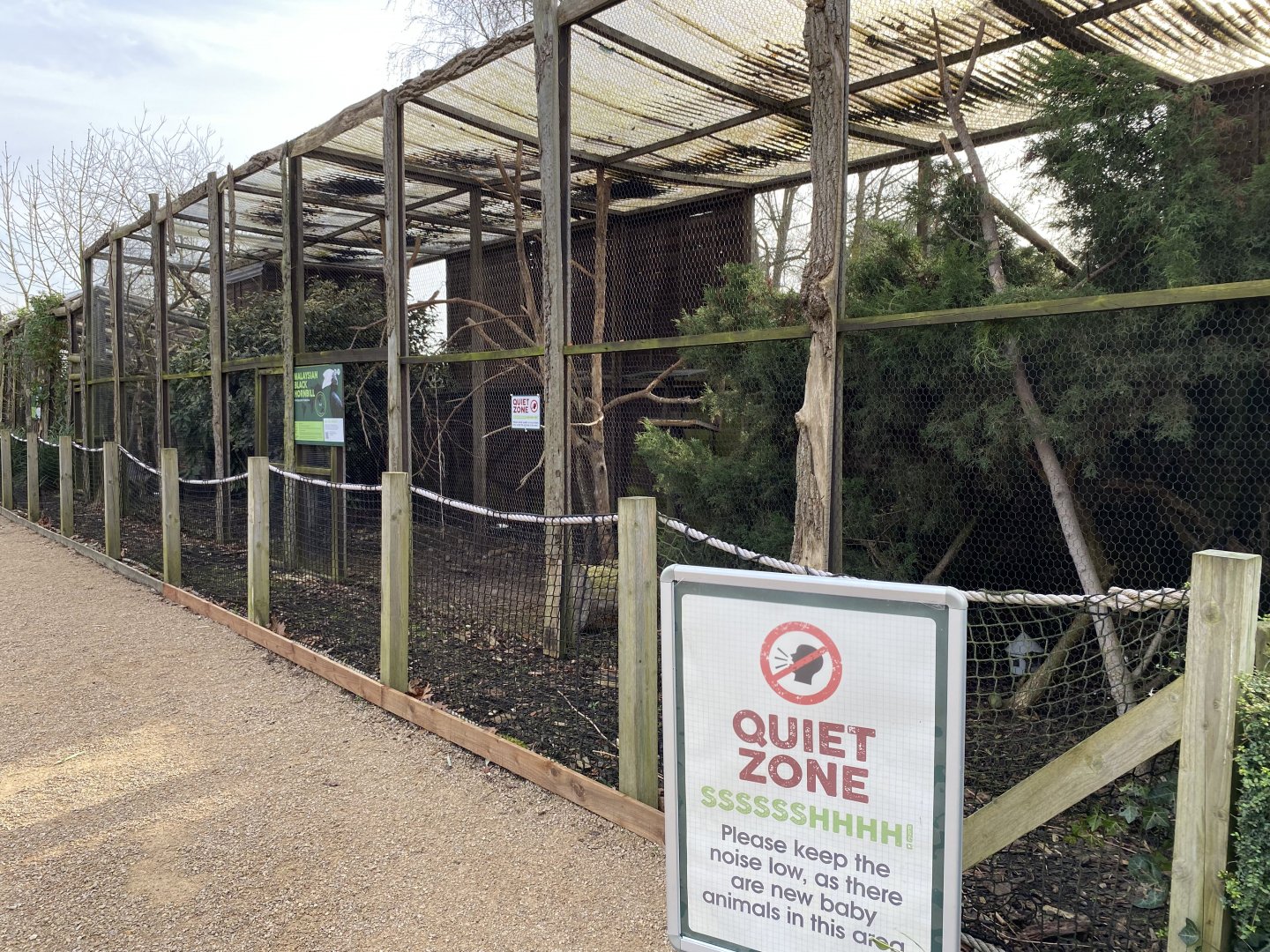 Drayton Manor Theme Park Zoo, Malaysian Black hornbill enclosure